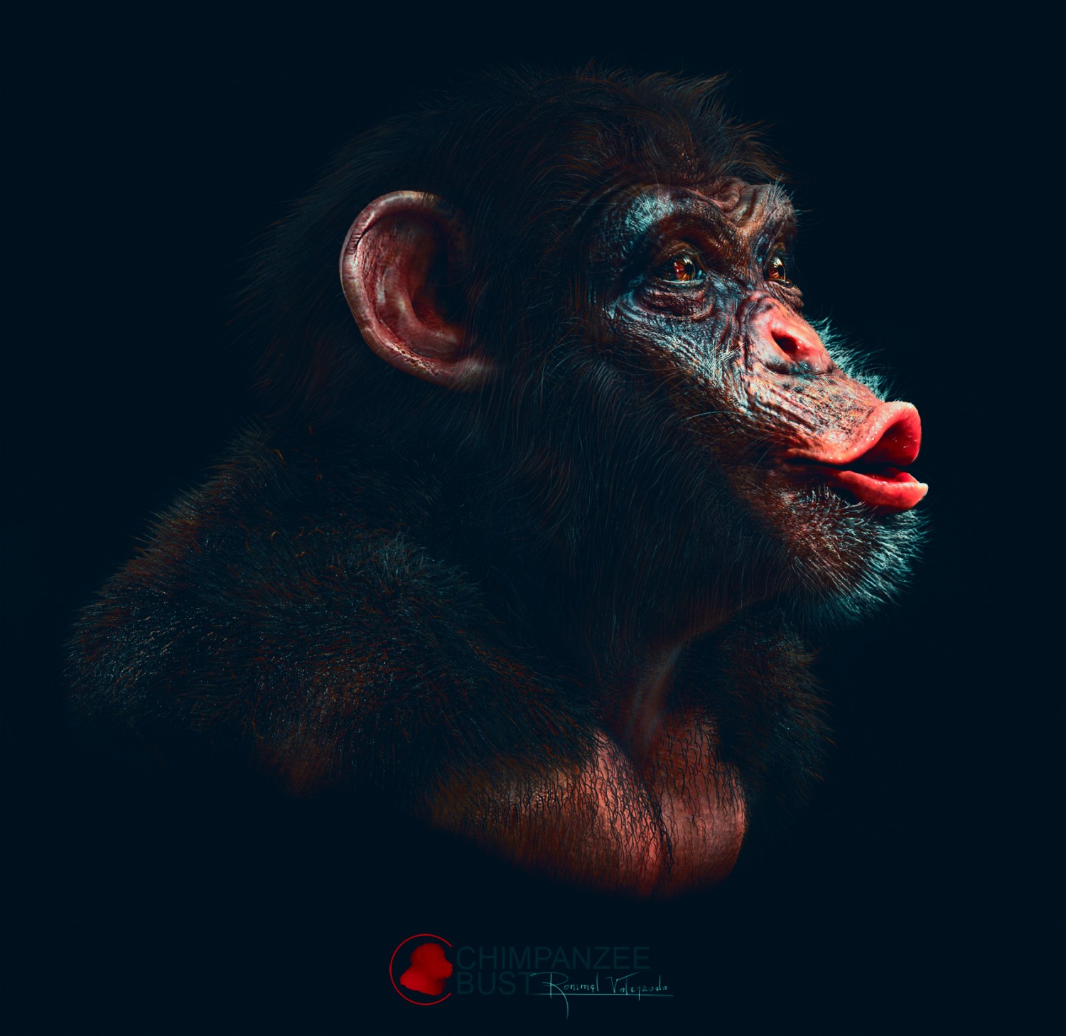 render-side2-1700-website